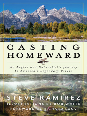 cover image of Casting Homeward